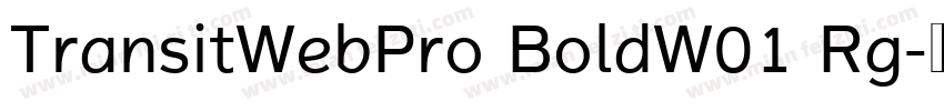 TransitWebPro BoldW01 Rg字体转换